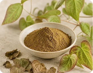 Pine Bark Extract in the HoneyFil men's vitality gummy formula